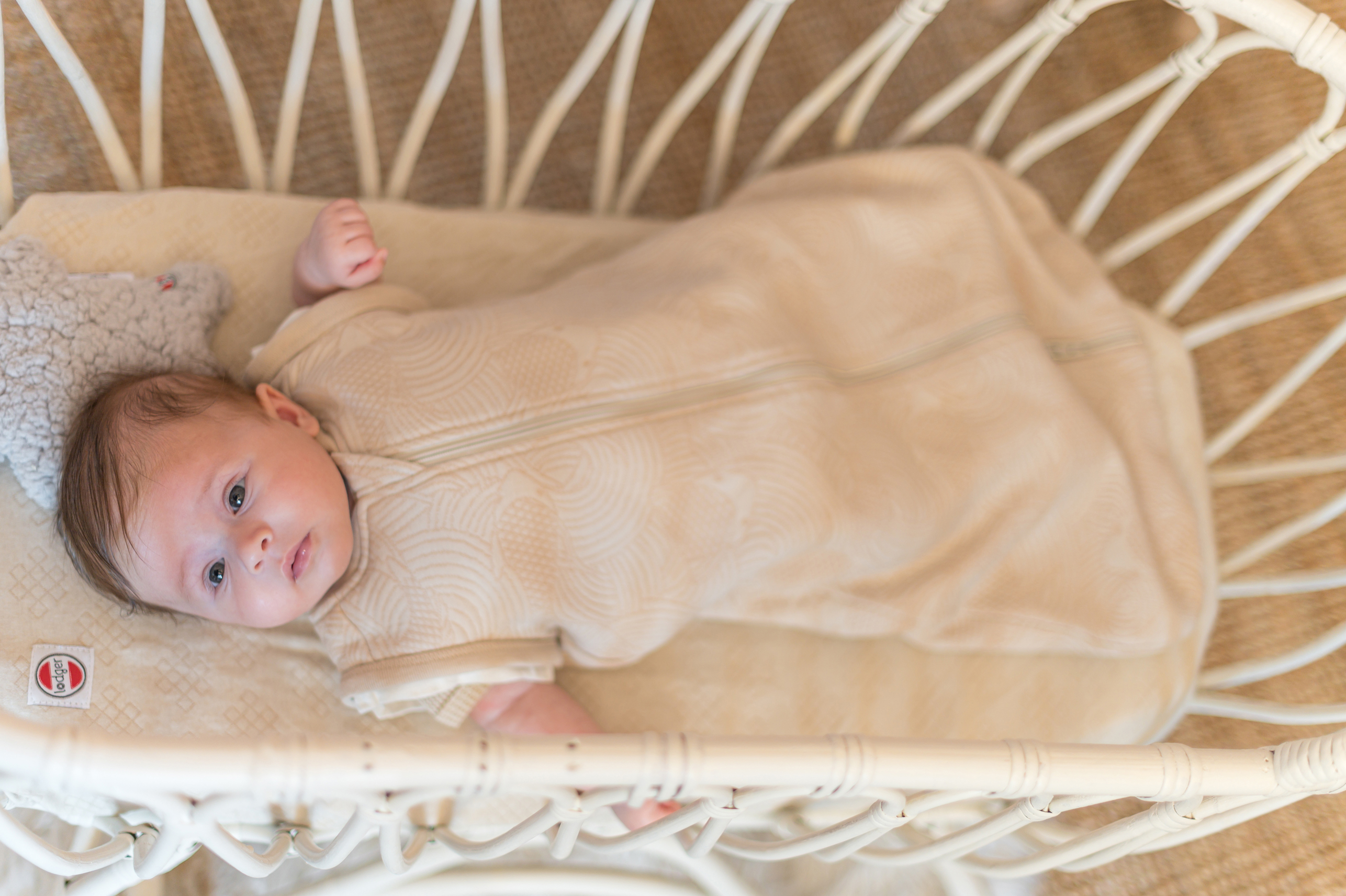 Warmte Afbreken Skalk Baby romper korte of lange mouw? | Lodger Blog